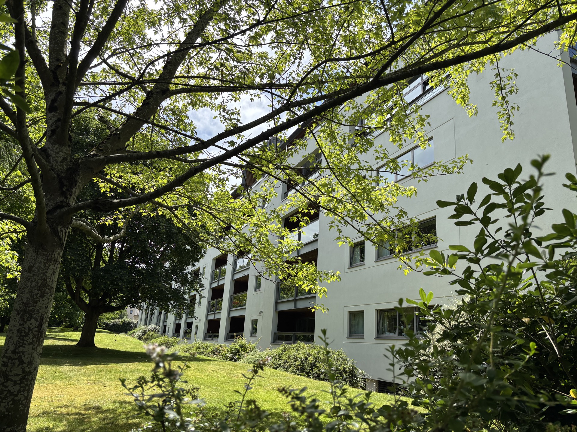 Roof replacement contract managed by Ashstep Surveys